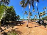 Prime Lagoon Front Land for Sale in Kosgoda