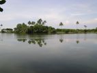 Prime Lagoon Front Land for Sale in Kosgoda
