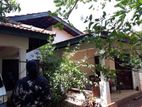Prime Land 16P with House for Sale in Near Katunayake Airport