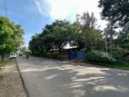 Prime Land A9 Main Road, Dambulla (Kapuwatha)