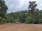 Prime Land Blocks for Sale – Pokunuvita, Horana