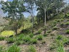 Prime Land for Eco Resort Stream Front Great