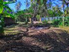 Prime Land for Sale – 34 Perches in Kochchikade (Close to Main Road)