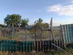 Prime Land for Sale – Akkaraipattu