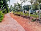 Prime land for sale 800m away from Kandy Road near Yakkala Kalagedihena