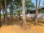 Prime land for sale at a valuable price close to Welisara