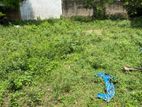 Prime Land for Sale at Rajagiriya (Walauwatta Road) (EM033DK)