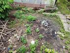 Prime Land for Sale – Attidiya Road
