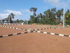 Prime Land for Sale Between Moratuwa & Panadura – Goraka H37