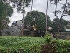Prime Land for Sale Boralasgamuwa