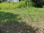 Prime Land for Sale Borelesgamuwa