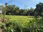 Prime Land for Sale – Bulathsinhala, Horana Main Road