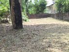 Prime Land for Sale - First Cross Street Pagoda Nugegoda