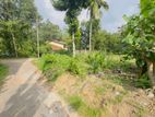 Prime Land for Sale from Gampaha