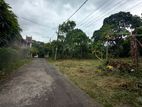 Prime Land for Sale -Habrkada Mullegama