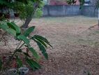 Prime Land for Sale – Hendala Main Road, Wattala