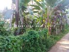 🏡 Prime Land for Sale – Hikkaduwa /AJ 11050
