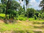 Prime land for sale - Homagama