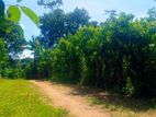 Prime Land for Sale in Akurugoda