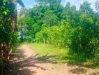 Prime Land for Sale in Akurugoda