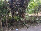 Prime Land for Sale in Attidiya