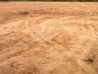 Prime Land for Sale in Bangalawatta, Wattala