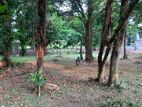 Prime Land for Sale in Battaramulla