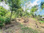 Prime Land for Sale in Dehiowita