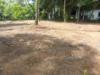 Prime Land for Sale in Gampaha