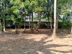 Prime Land for Sale in Gonawala Kelaniya – Exceptional Value!