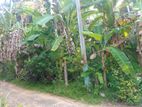 Prime Land for Sale in Hikkaduwa