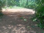 Prime Land for Sale in Homagama – Pitipana
