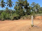 Prime Land for Sale in Ja Ela