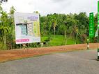 Prime Land for Sale in Kadawatha