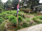 Prime Land for Sale in Kandy- Bowalawatta (Close to Amaya Hills hotel)