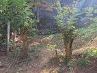 Prime Land for Sale in Kandy City Limits!