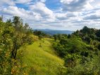 Prime Land for Sale in Kandy close to University of Peradeniya