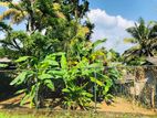 Prime Land for Sale in Kandy