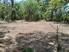Prime Land for Sale in Kariyamadiththa – Hambanthota