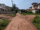 Prime Land for Sale in Katuwapitiya