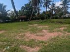 Prime Land for Sale in Kurana, Katunayake