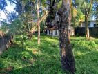 Prime Land for Sale in Makola