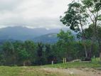 Prime Land for Sale in Matale