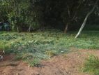 Prime Land for Sale in Matale – Rattota Road