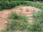 Prime Land For Sale In Panadura Pinwatta