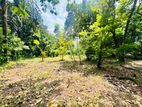 Prime Land for Sale in Pannipitiya – Malabe Road