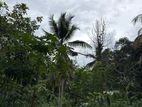 Prime Land for Sale in Pelmadulla
