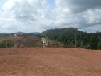 Prime Land for Sale in Pinnaduwa, Galle