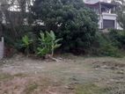 Prime Land for Sale in Ragama