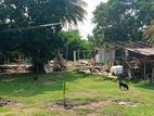 Prime Land for Sale In Ragama